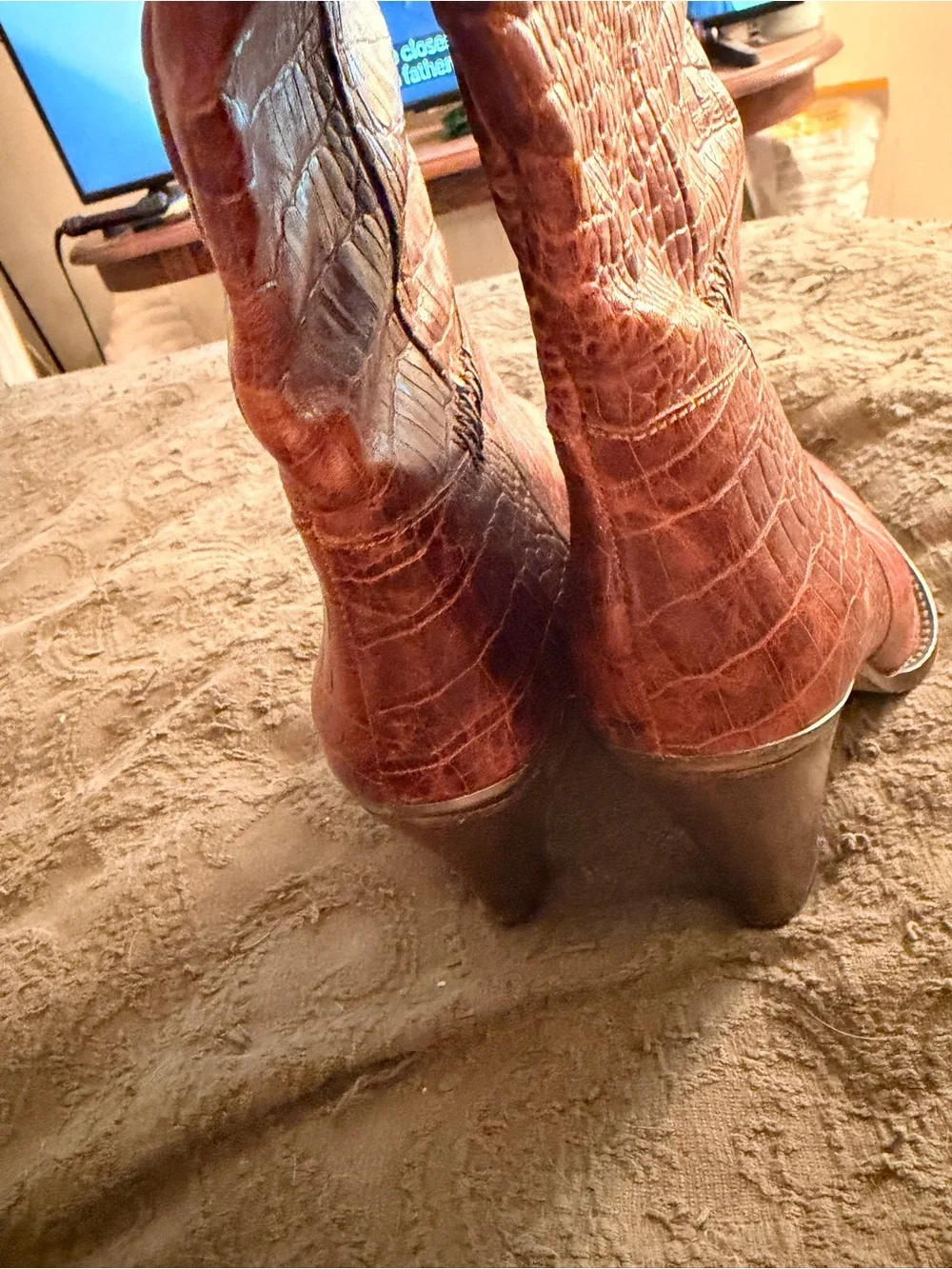 Free People Brown Croc-Embossed Pointed Toe Knee-High Boots